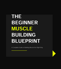 The Beginner Muscle Building Blueprint