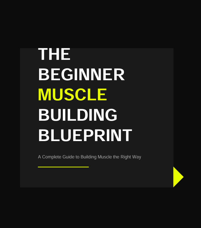 The Beginner Muscle Building Blueprint